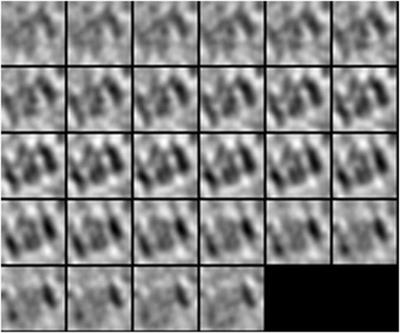Self-supervised learning for macromolecular structure classification based on cryo-electron tomograms